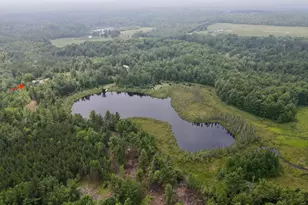 W4601 Olivotti Lake Rd, Irma, WI 54442 - Photo 25