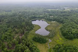 W4601 Olivotti Lake Rd, Irma, WI 54442 - Photo 45