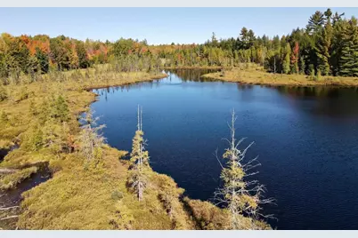 W4601 Olivotti Lake Road, Irma, WI 54442 - Photo 31