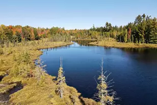W4601 Olivotti Lake Rd, Irma, WI 54442 - Photo 31