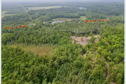 W4601 Olivotti Lake Road, Irma, WI 54442 - Photo 43