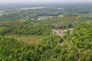 W4601 Olivotti Lake Rd, Irma, WI 54442 - Photo 43