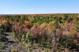 W4601 Olivotti Lake Rd, Irma, WI 54442 - Photo 33