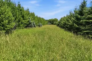 3205 W McMillan St, Marshfield, WI 54449 - Photo 51