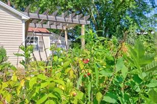 1231 N 15th St, Wisconsin Rapids, WI 54494 - Photo 29