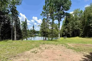 W3438 State Hwy 182, Park Falls, WI 54552 - Photo 51