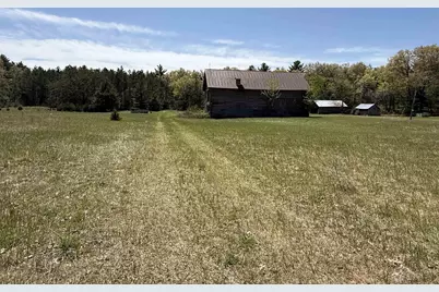 1751 Buttercup Avenue, Arkdale, WI 54613 - Photo 47