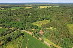 2496 Ellis Rd, Custer, WI 54423 - Photo 51
