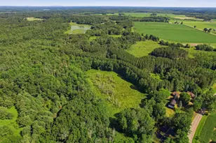 2496 Ellis Rd, Custer, WI 54423 - Photo 59