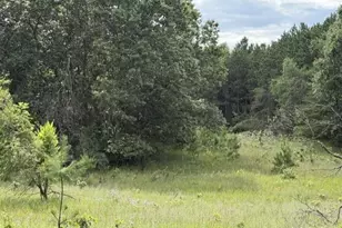 9700 5th Ave, Almond, WI 54909 - Photo 33