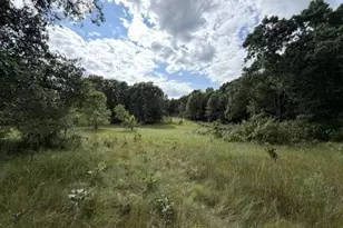9700 5th Ave, Almond, WI 54909 - Photo 31
