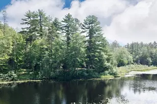 W8172 Somo Dam Dr, Tomahawk, WI 54487 - Photo 5