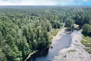 W8172 Somo Dam Dr, Tomahawk, WI 54487 - Photo 55