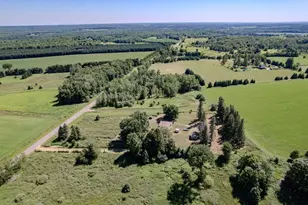 234788 Eau Claire River Rd, Aniwa, WI 54408 - Photo 49
