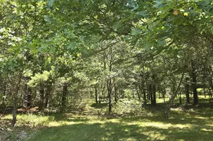 N15046 17th Ave N, Necedah, WI 54646 - Photo 15