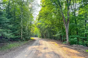 N13266 Hicks Landing Rd, Fifield, WI 54524 - Photo 57