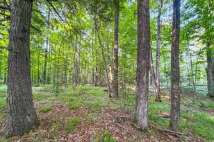 N13266 Hicks Landing Rd, Fifield, WI 54524 - Photo 55