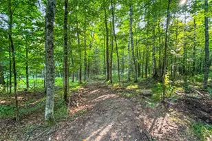 N13266 Hicks Landing Rd, Fifield, WI 54524 - Photo 41