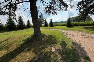 182347 Birnamwood Rd, Birnamwood, WI 54414 - Photo 21
