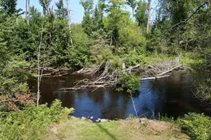 N7769 Marshall Ln, Lily, WI 54491 - Photo 27