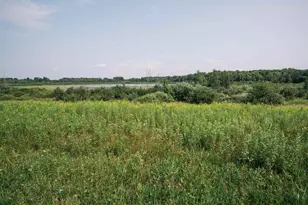 W14116 Mud Lake Dr, Lublin, WI 54447 - Photo 23