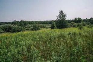 W14116 Mud Lake Dr, Lublin, WI 54447 - Photo 25