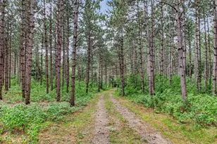 N8481 Kleba Rd, Hixton, WI 54635 - Photo 43