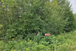 W1447 Spur Rd, Sheldon, WI 54766 - Photo 13