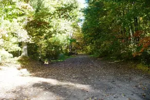 N11453 Wilderness Ave, Thorp, WI 54771 - Photo 33