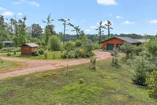 10041 Pine Tree Trail, Amherst Junction, WI 54407 - Photo 3