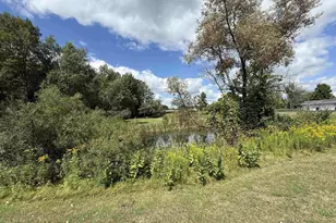 469 Sarah St, Birnamwood, WI 54414 - Photo 7