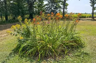 N3979 Oxbow Rd, Catawba, WI 54516 - Photo 45