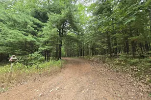 6980 Partridge Rd, Lake Tomahawk, WI 54539 - Photo 33