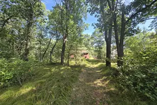 517 Regal Forest Trail, Nekoosa, WI 54457 - Photo 53