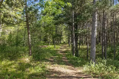 13359 Hollywood Road, Nekoosa, WI 54457 - Photo 47