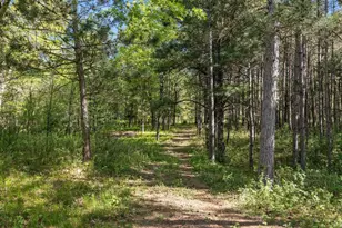 13359 Hollywood Rd, Nekoosa, WI 54457 - Photo 47
