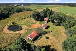 3962 Dairy Rd, Pittsville, WI 54466 - Photo 55