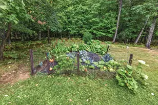 1806 Buckhorn Cir, Woodruff, WI 54568 - Photo 55