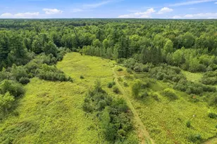 5441 2nd Ave, Rudolph, WI 54475 - Photo 13