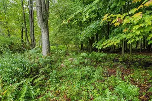 N7826 4th St, Eland, WI 54427 - Photo 49