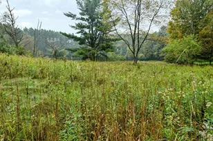 N7826 4th St, Eland, WI 54427 - Photo 51