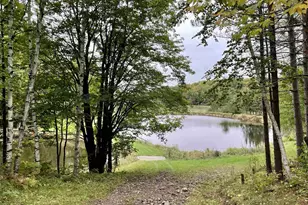 N9110 Meyer Dr, Westboro, WI 54490 - Photo 55