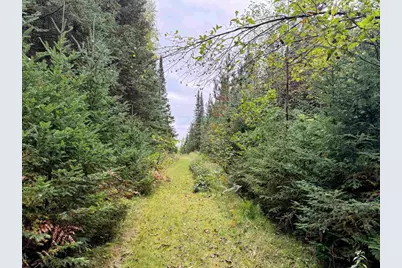 N16340 State Highway 13, Butternut, WI 54514 - Photo 11
