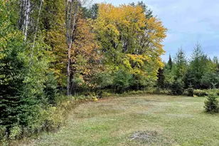 N16340 State Hwy 13, Butternut, WI 54514 - Photo 15