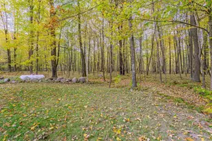 4561 Hardwood Ln, Rosholt, WI 54473 - Photo 53