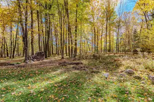 4561 Hardwood Ln, Rosholt, WI 54473 - Photo 55
