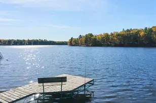 W9253 Silver Spring Rd, Holcombe, WI 54745 - Photo 11