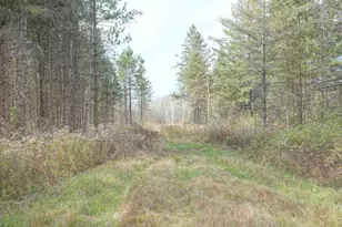W10534 County Road D, Westboro, WI 54490 - Photo 13