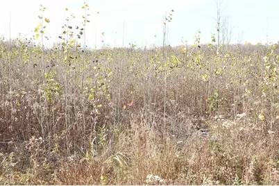 W10534 County Road D, Westboro, WI 54490 - Photo 15