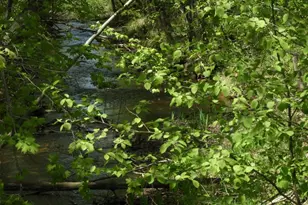 625X Iron Lake Rd, Iron River, WI 54847 - Photo 3